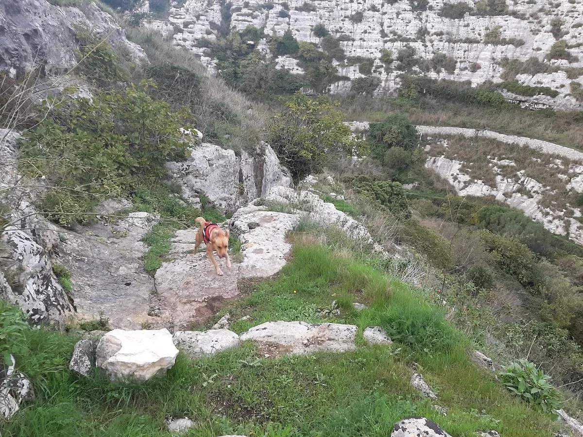 ** بيت ضيافة فندق Pura Vida Barocca راغوزا إيطاليا